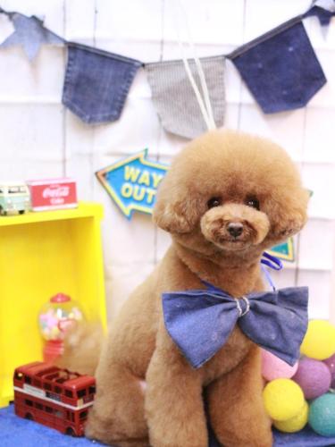 20230425こじろうくん